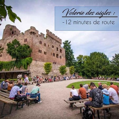 Appart 4 Pers Design Et Cosy Avec Jardin Au Coeur De Selestat Bagian luar foto